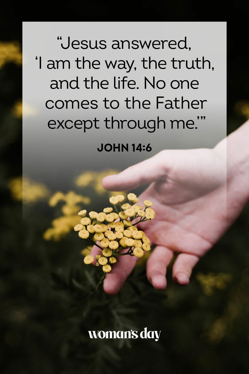 bible quotes  john 14 6