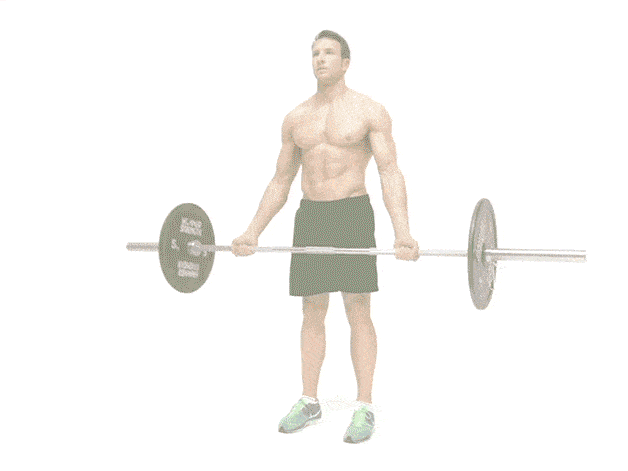 ejercicios para fortalecer biceps con barra