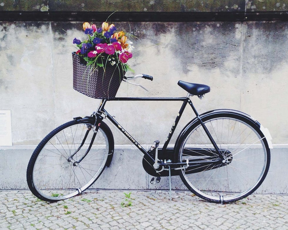 BICICLETA DE PASEO