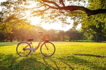 bicycle on grassy field in park