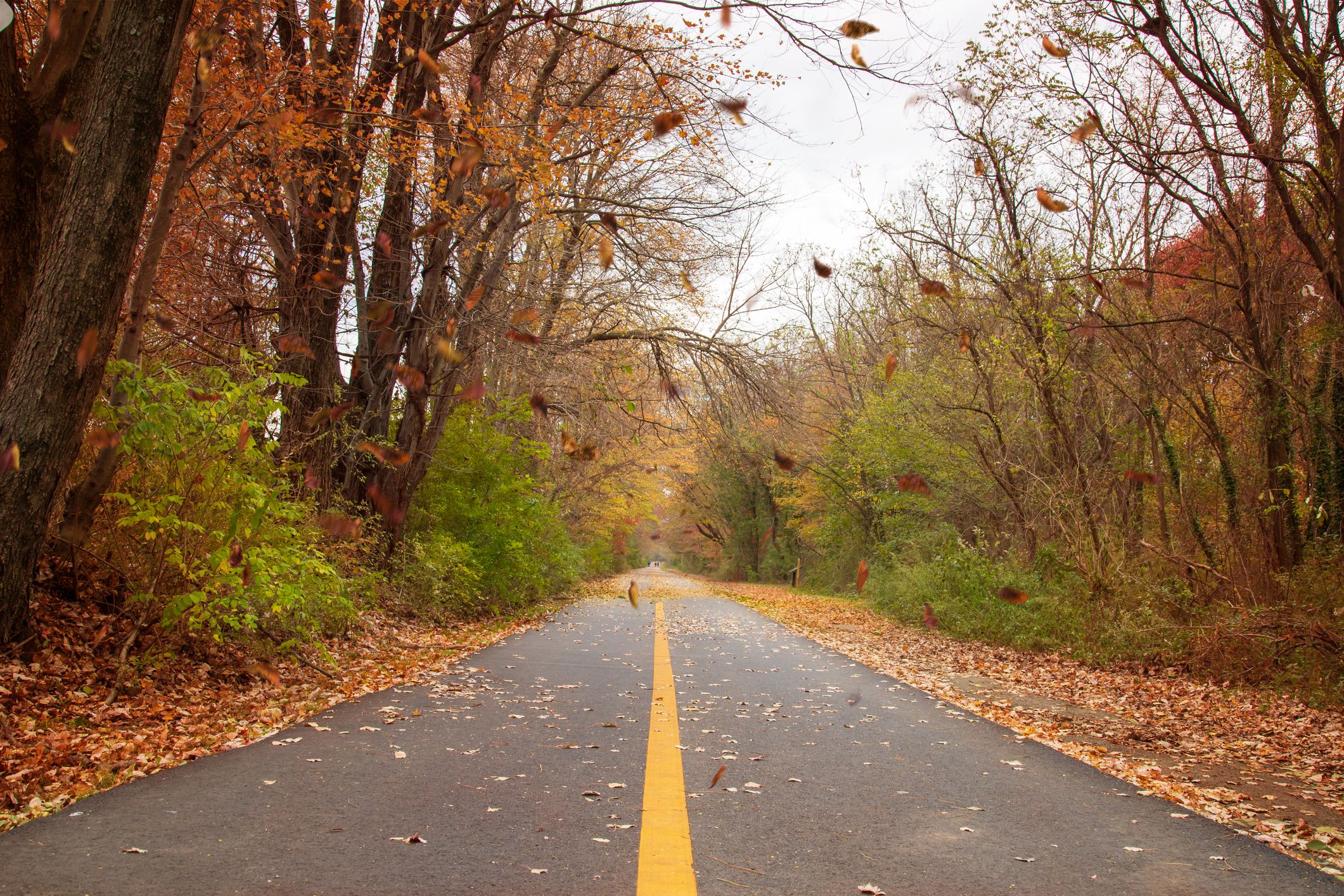 This State Has the Longest Paved Rail Trail in the Country