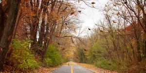 w and od bicycle path in fall in virginia
