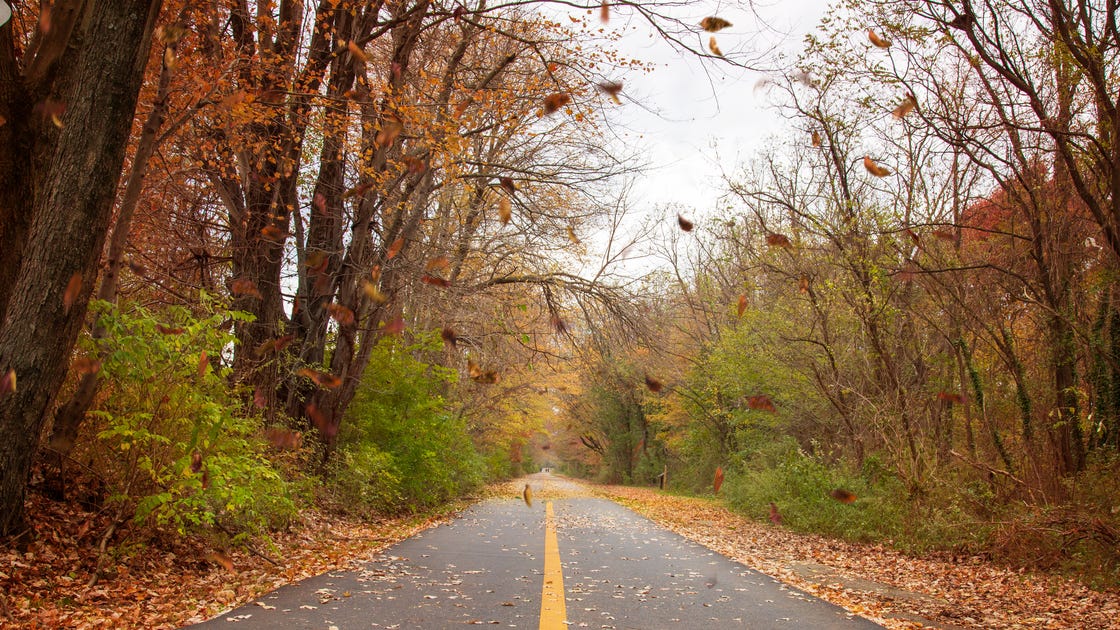 preview for 10 Bucket List Rail Trail Rides