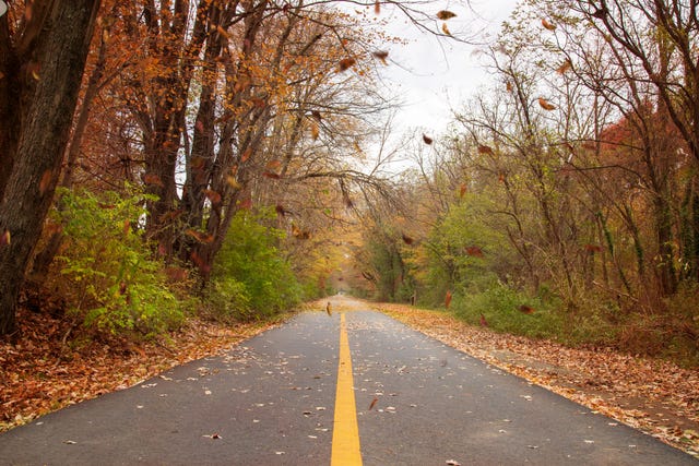 ciclisimo autunno