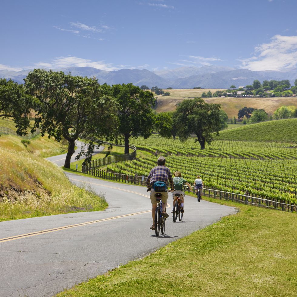 bicycle touring in wine country
