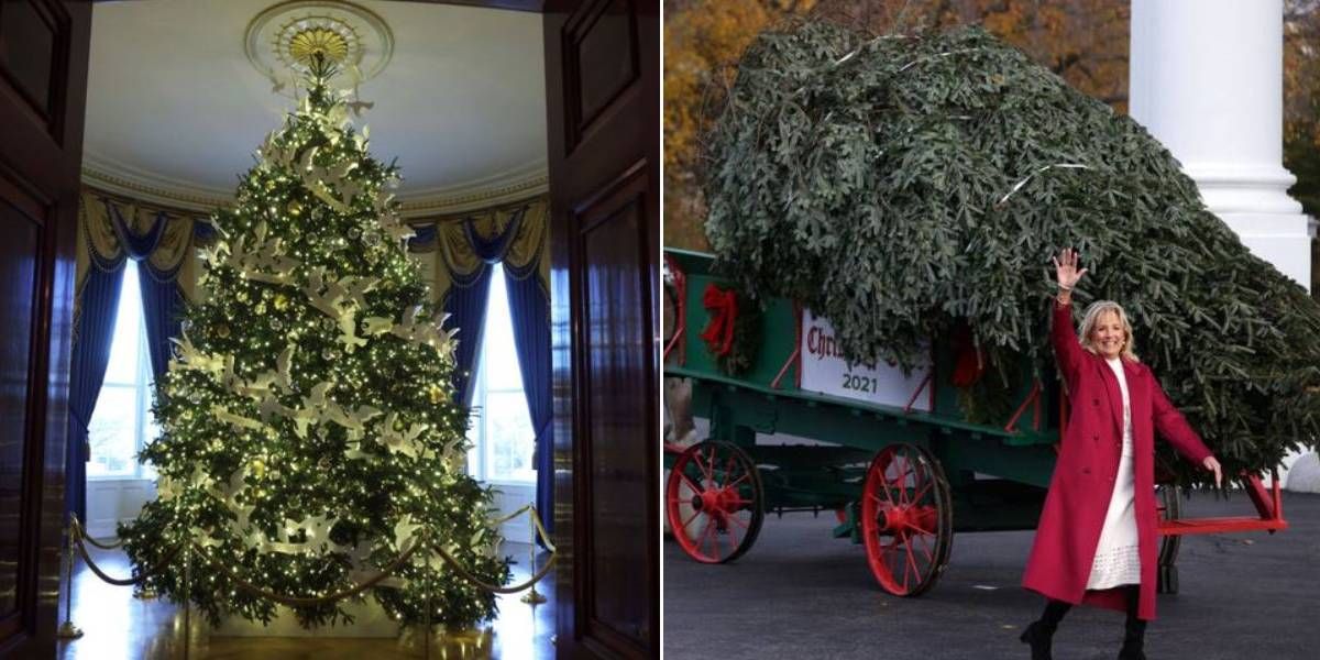 ジル・バイデン大統領夫人、ホワイトハウスのクリスマスツリーを
