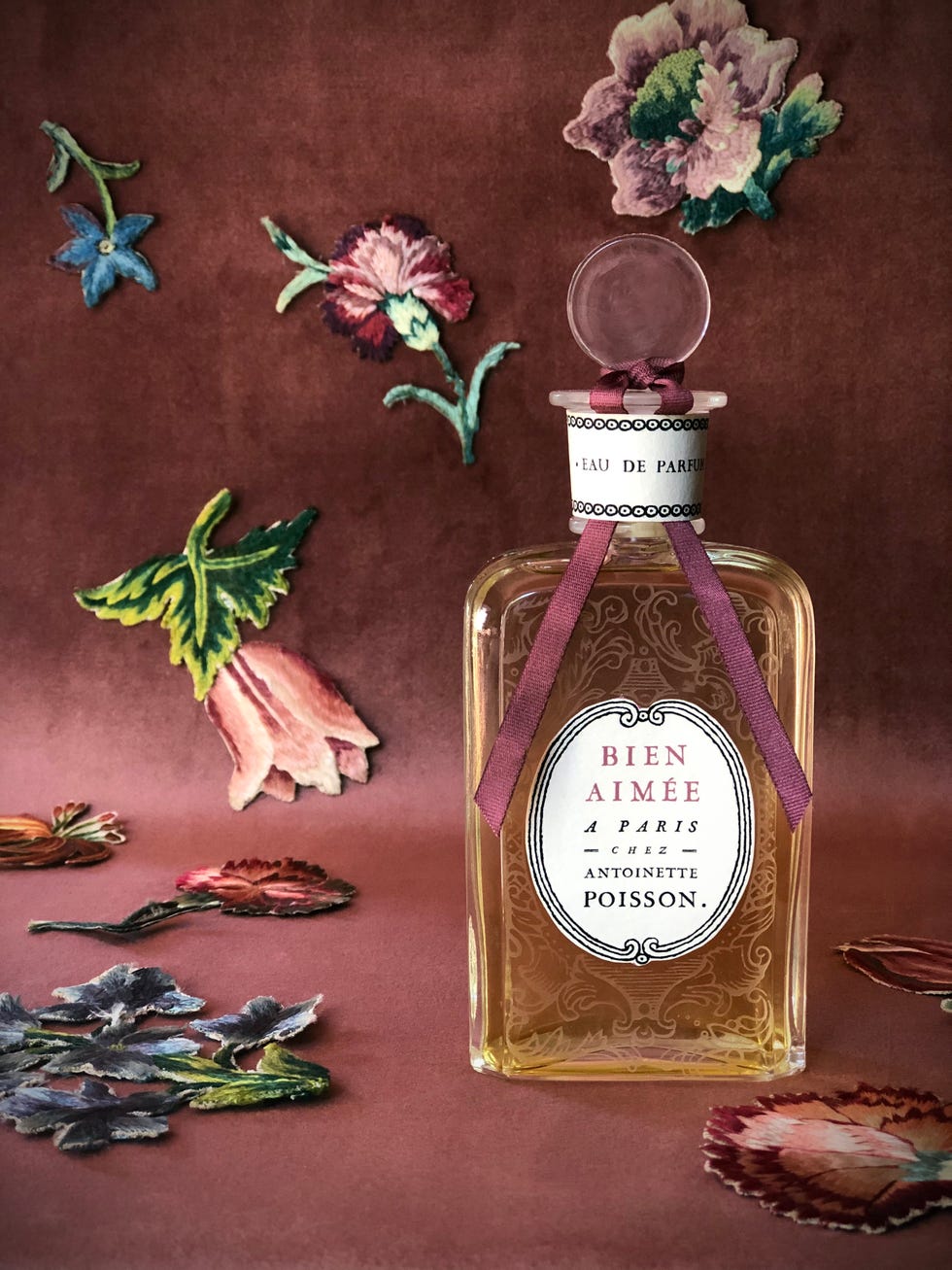 antoinette poisson's new eau de parfum bien aimee