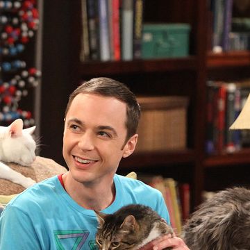 jim parsons as sheldon in a scene from the big bang theory, surrounded by five cats