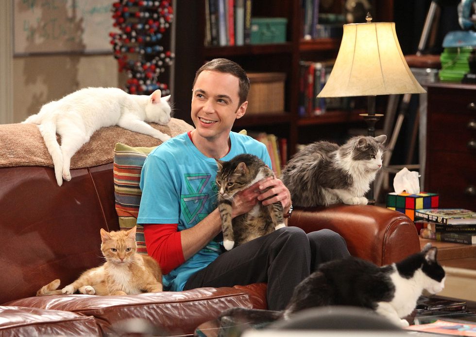 Jim Parsons als Sheldon in einer Szene aus der Urknalltheorie, umgeben von fünf Katzen