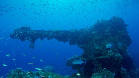 30 Stunning Shipwrecks That Will Blow Your Mind big gun on the fujikawa maru wreck