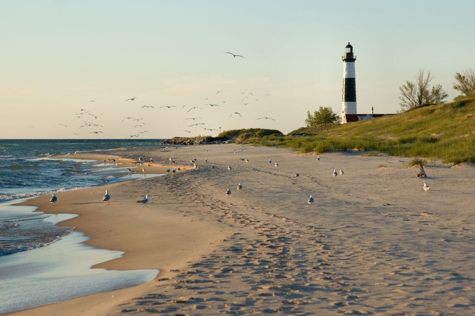 big sable point lighthouse with gulls