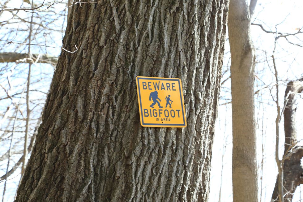 bigfoot warning area sign on a tree trunk