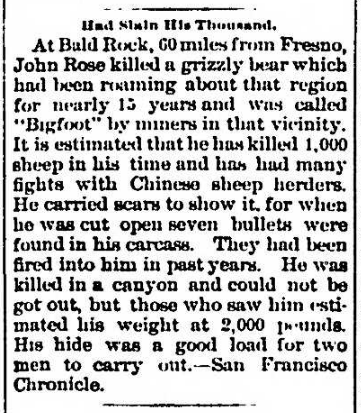 excerpt from a 1895 article on a grizzly bear named bigfoot