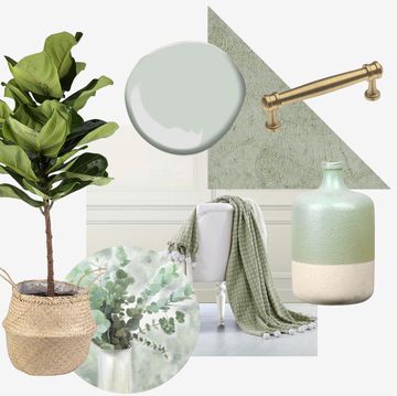 Product, Room, Table, Tree, Flowerpot, Leaf, Fur, Plant, Furniture, Beige, 