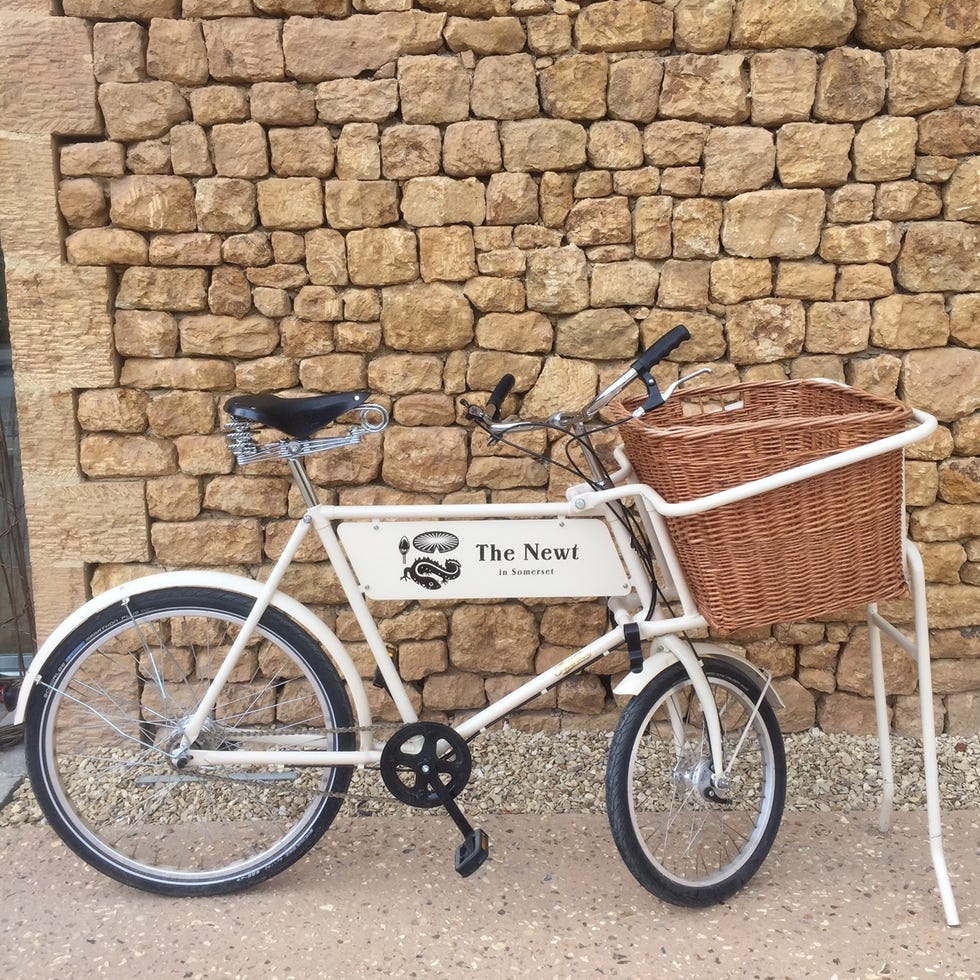 The Newt bike