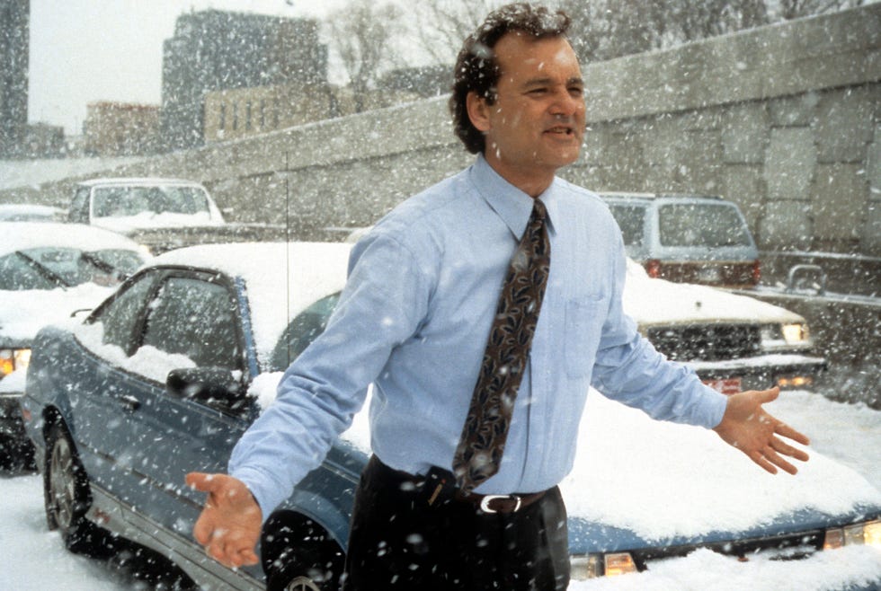 bill murray in groundhog day