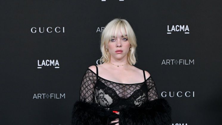 preview for Billie Eilish STRIPS Down To Bra At Concert For Powerful Message!