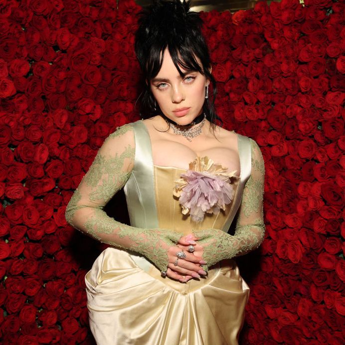 https://hips.hearstapps.com/hmg-prod/images/billie-eilish-attends-the-2022-met-gala-celebrating-in-news-photo-1699990532.jpg?crop=0.67578xw:1xh;center,top&resize=980:*