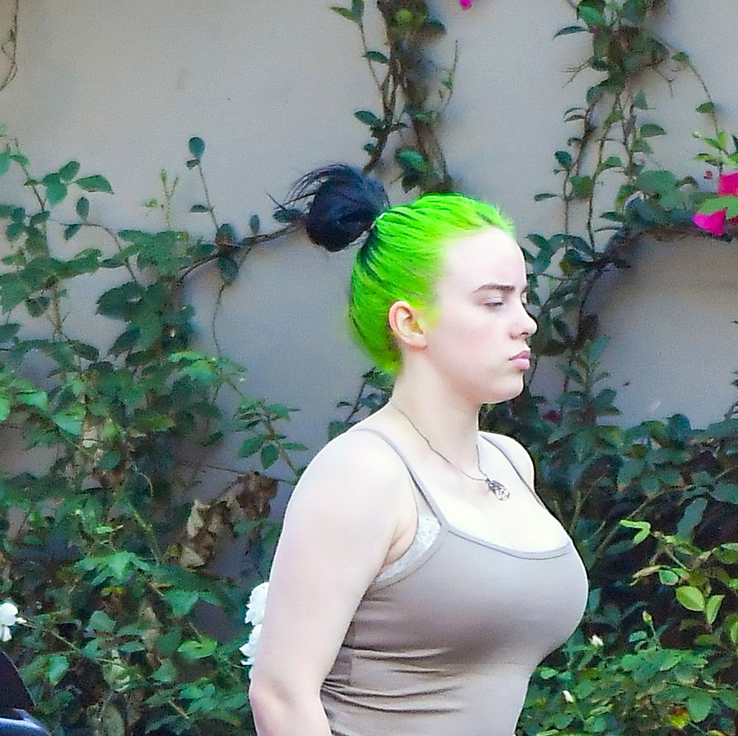 P Nk Porn - Billie Eilish Responds to Bodyshamers Attacking Her for Tank Top Photo
