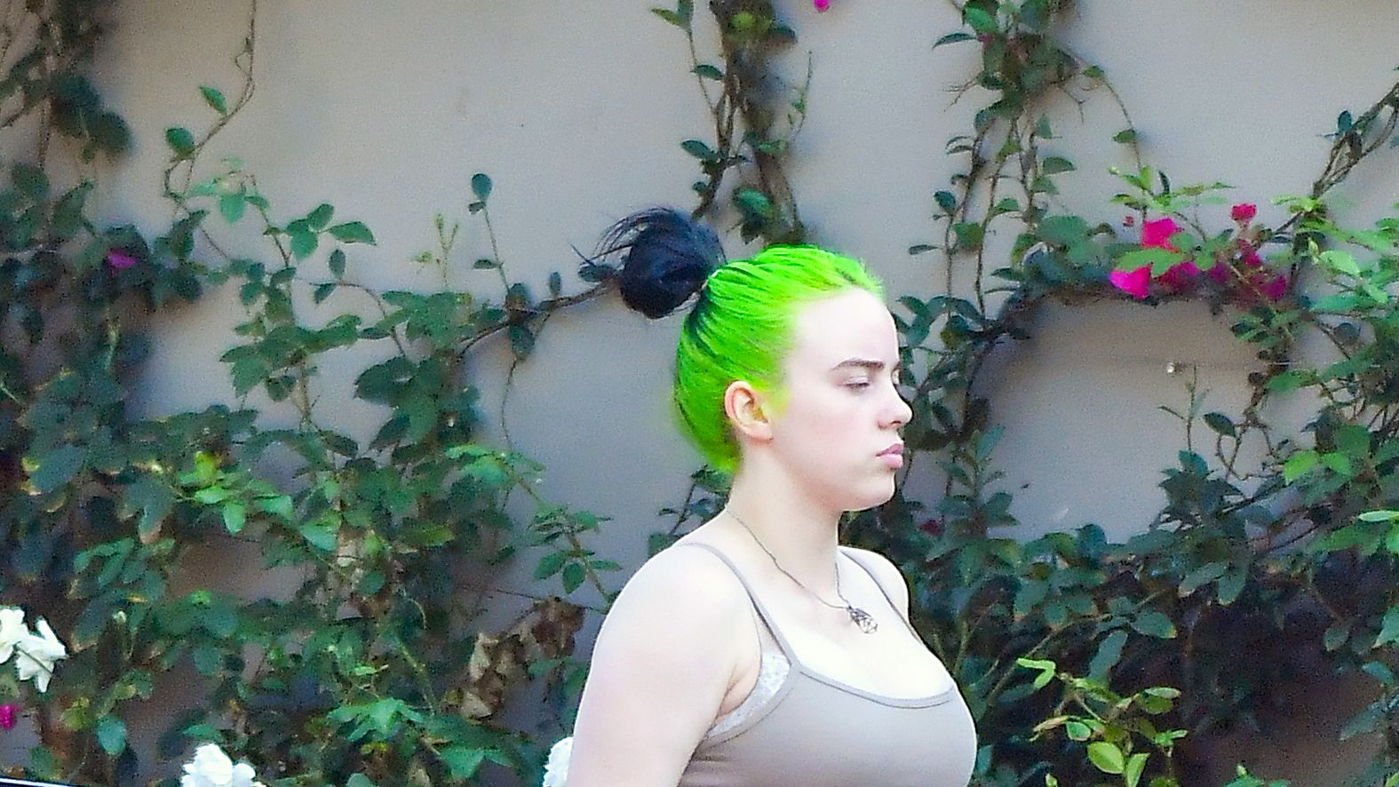 Force Boobs Press - Billie Eilish Responds to Bodyshamers Attacking Her for Tank Top Photo