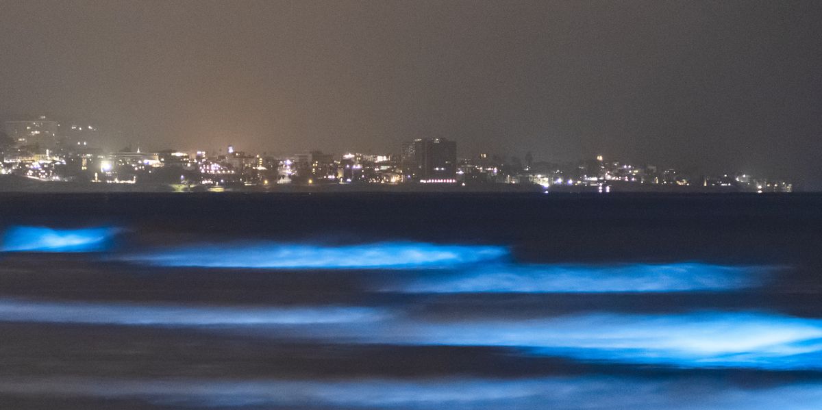 Watch Bioluminescent Waves Glow in California’s Monterey Bay