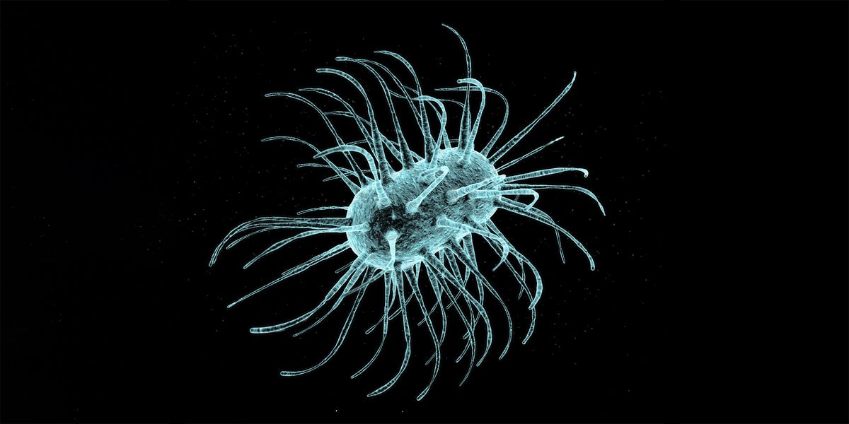 Bioterrorism Is a Growing Threat to Mankind, Bill Gates Says