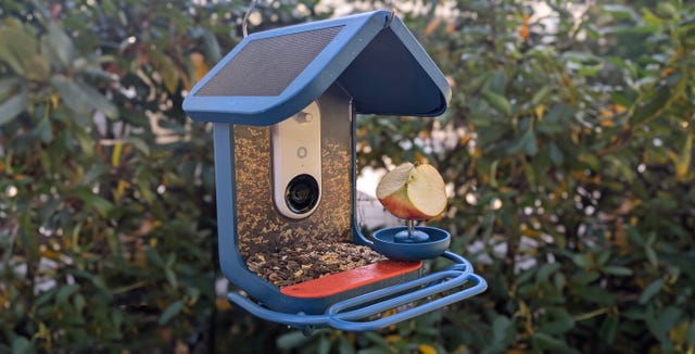a bird buddy bird feeder designed like a small house, featuring a transparent container filled with seeds and a slice of apple attached to a circular holder it has a solar panel on the roof and is surrounded by greenery, suggesting an outdoor environment