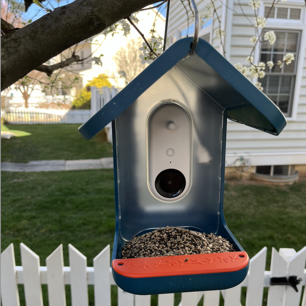 a silver, red and blue smart bird feeder hanging from a tree limb outside of a white house and next to a white picket fence