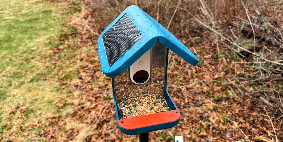 The 4 Best Smart Bird Feeders for Identifying Species and Feeding ...