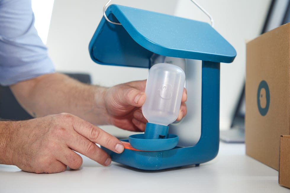 a hand is positioned to place a transparent container into a circular holder attached to a blue base the structure features a triangular top and a metal handle