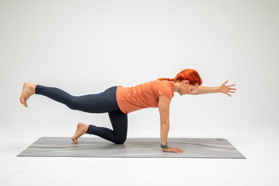 sciatica exercises, bird dog