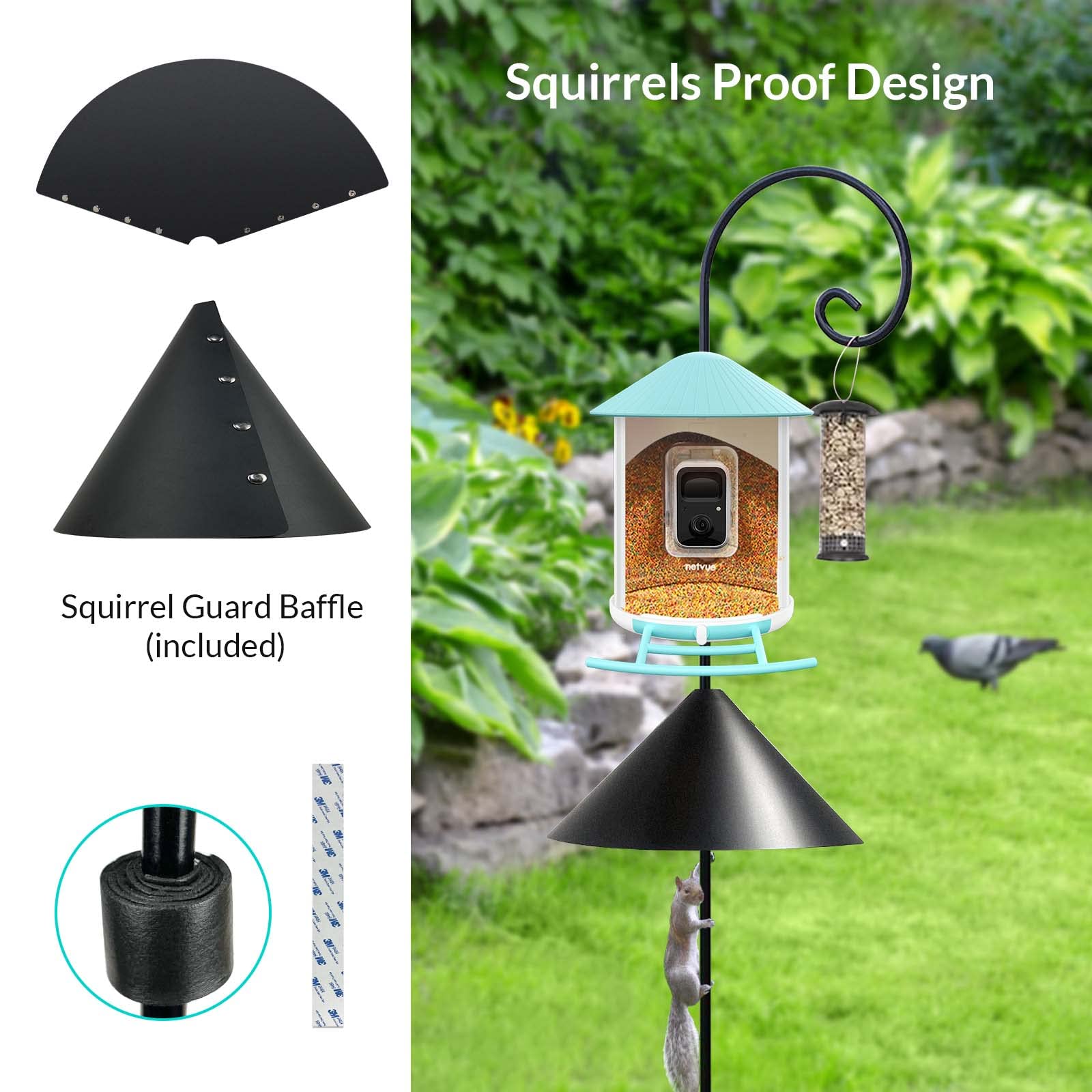 Live Stream Your Bird Feeder for Next-Level Birdwatching