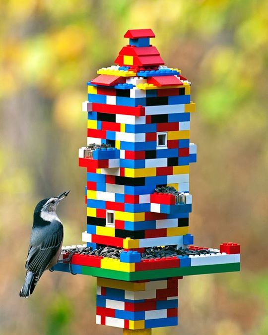 21 Most Creative DIY Bird Feeders Designs (Free Tutorials)  Diy bird feeder,  Bird feeder craft, Homemade bird feeders