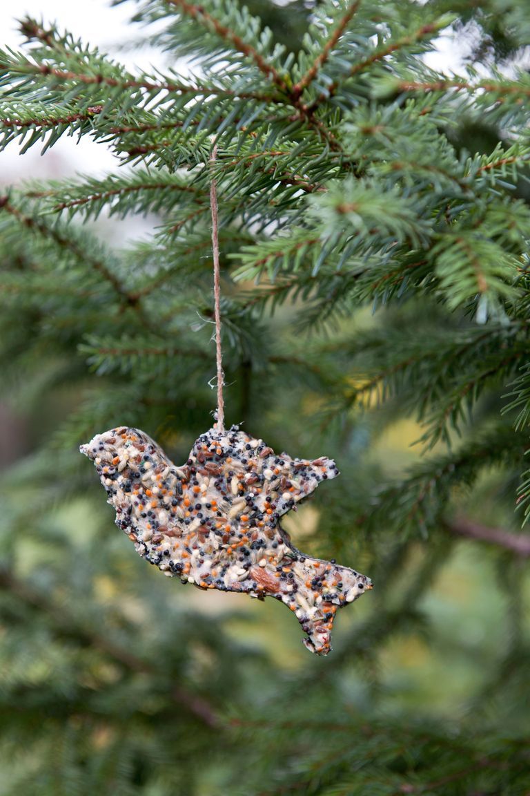 birdseed ornament outdoor christmas decoration