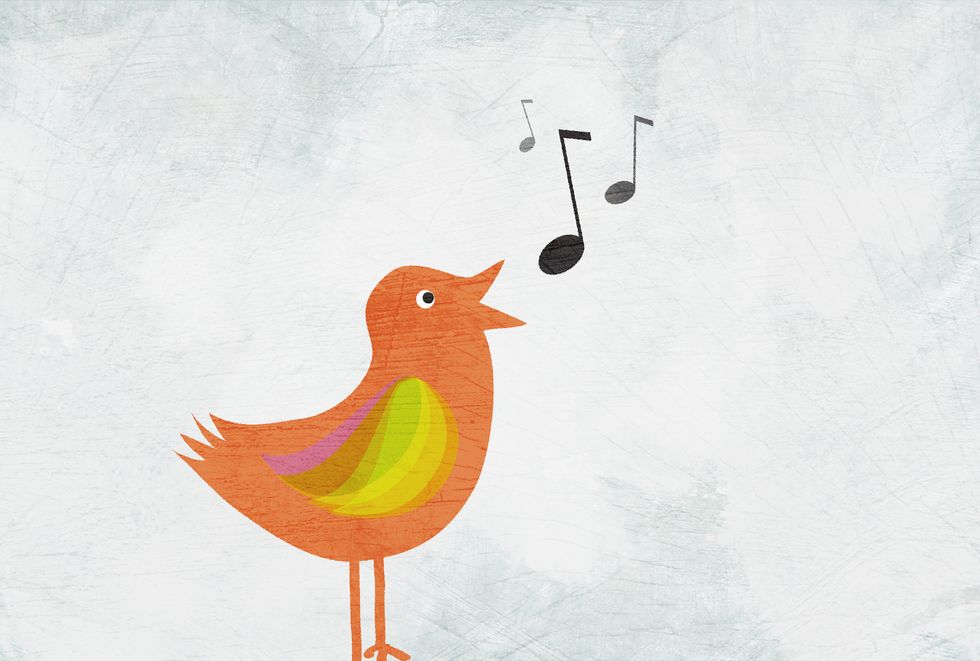 a bird singing