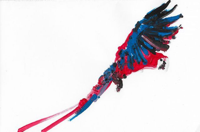 Bird, Wing, Feather, Fashion accessory, Graphic design, Parrot, 