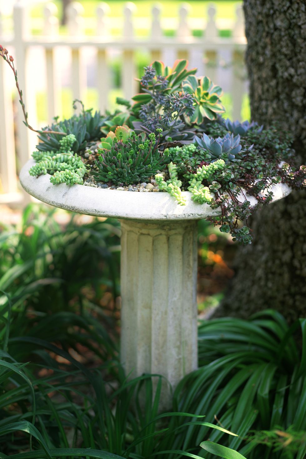 small garden ideas — birdbath planter