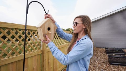 preview for Pop Projects: DIY Birdhouse with Shara McCuiston