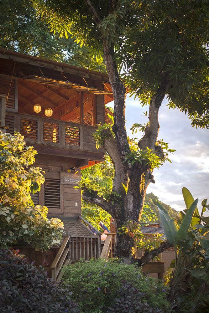 castara retreats, tobago
