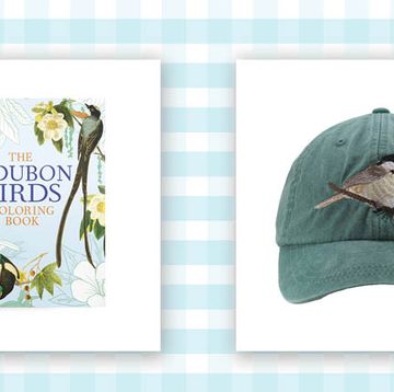 bird coloring book and hat with embroidered chickadee on it
