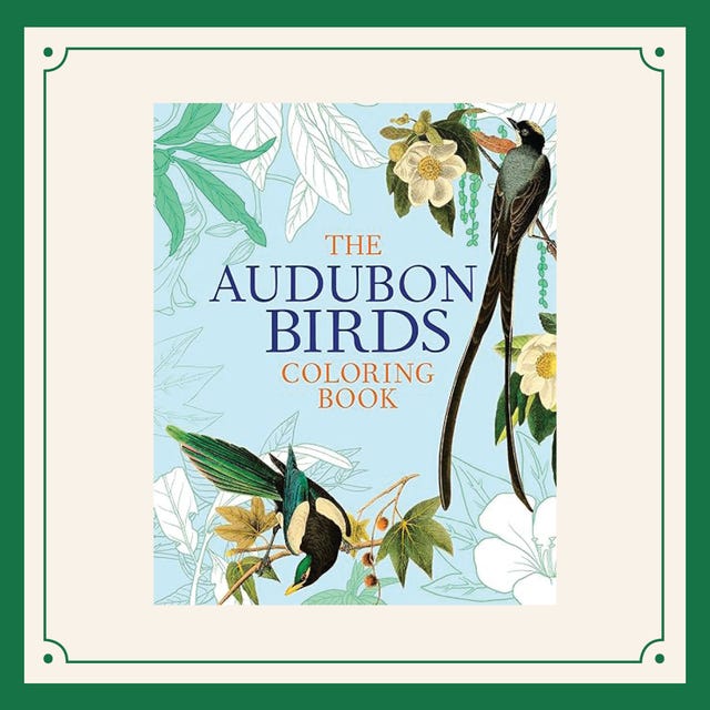 audubon birds coloring booktext