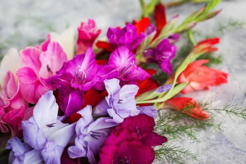 birth flowers meaning august