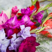 birth flowers meaning