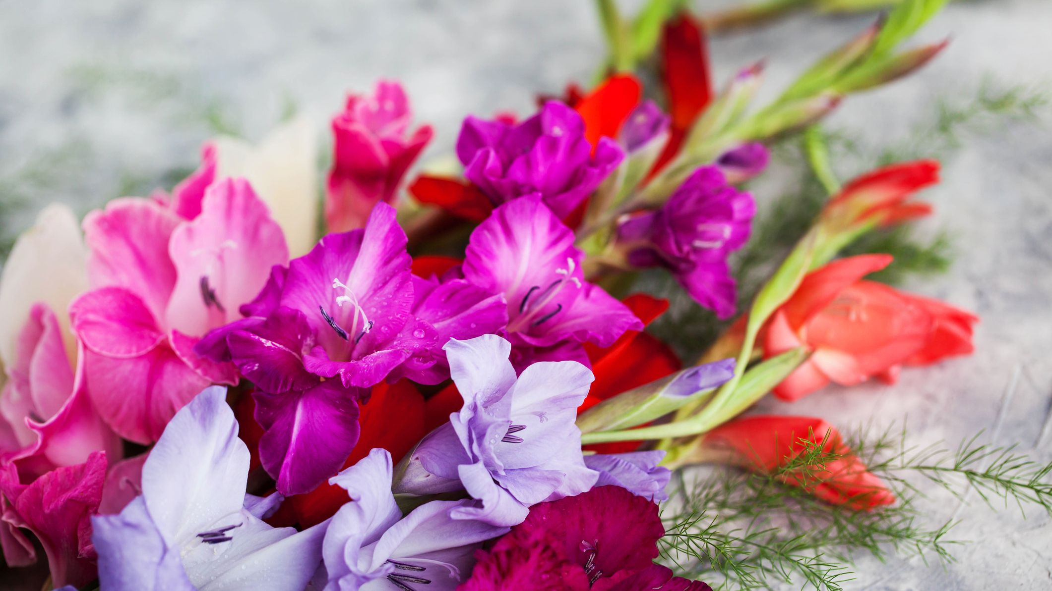 Birthday flowers: The best blooms to give on a special day