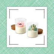 terrarium candles and mom pillow terrarium candles and mom pillow