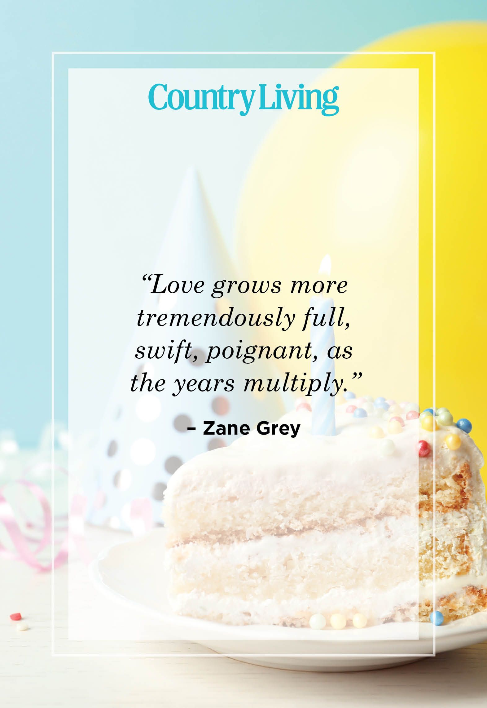 Perfect Birthday Cake Quotes Messages and Wishes for 2023  Routinely  Nomadic