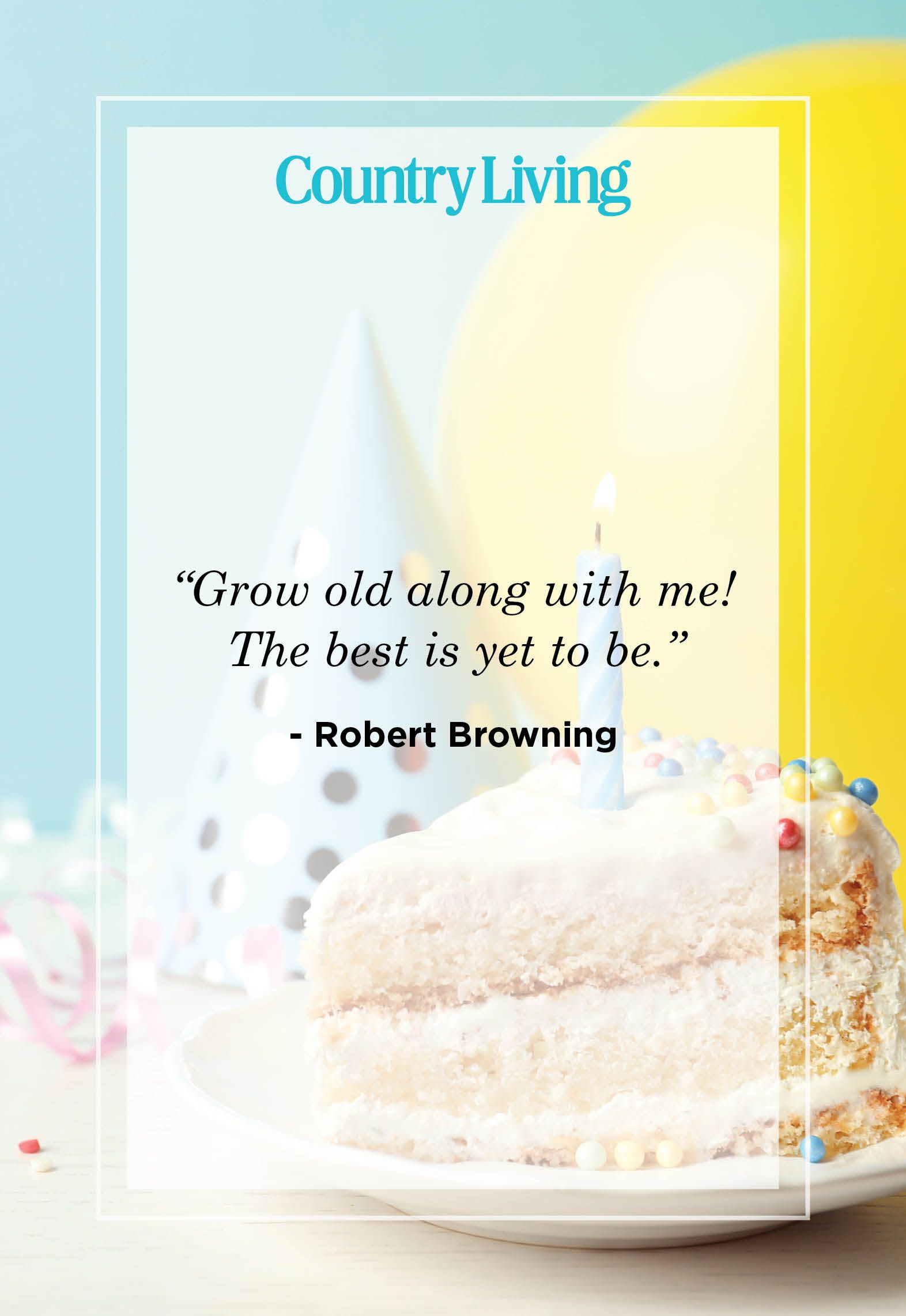 100 Cake Quotes To Get You Baking a Delectable Dessert