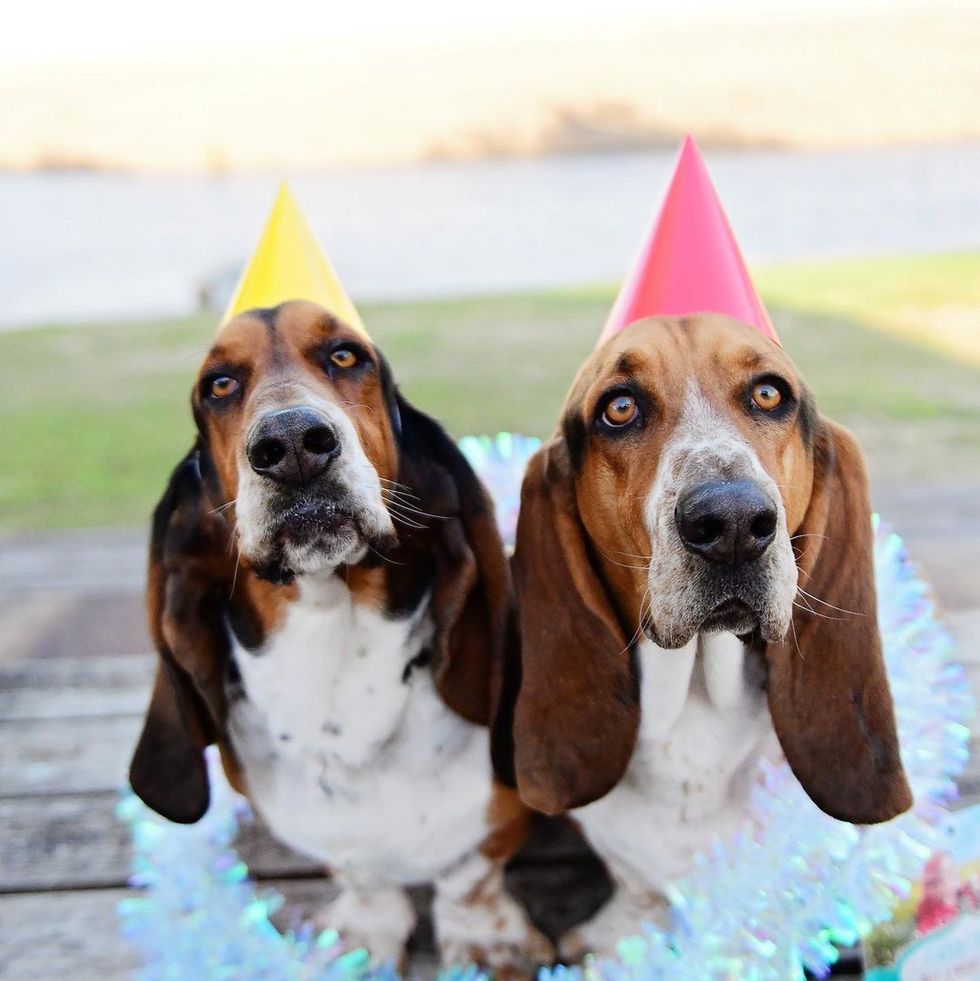 125 Best Birthday Wishes and Messages for a Best Friend