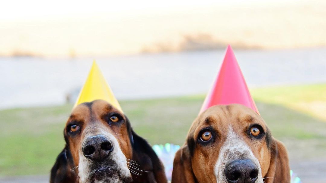 100 Best Birthday Wishes and Messages for a Best Friend
