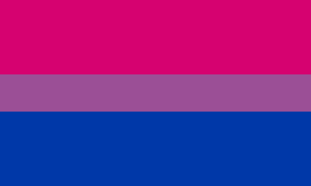 lgbtq bisexual pride flag